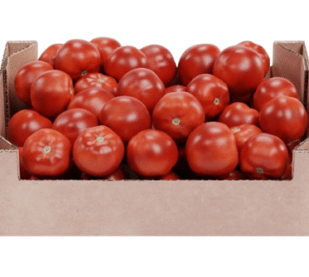 Fresh Tomatoes 3kg Box