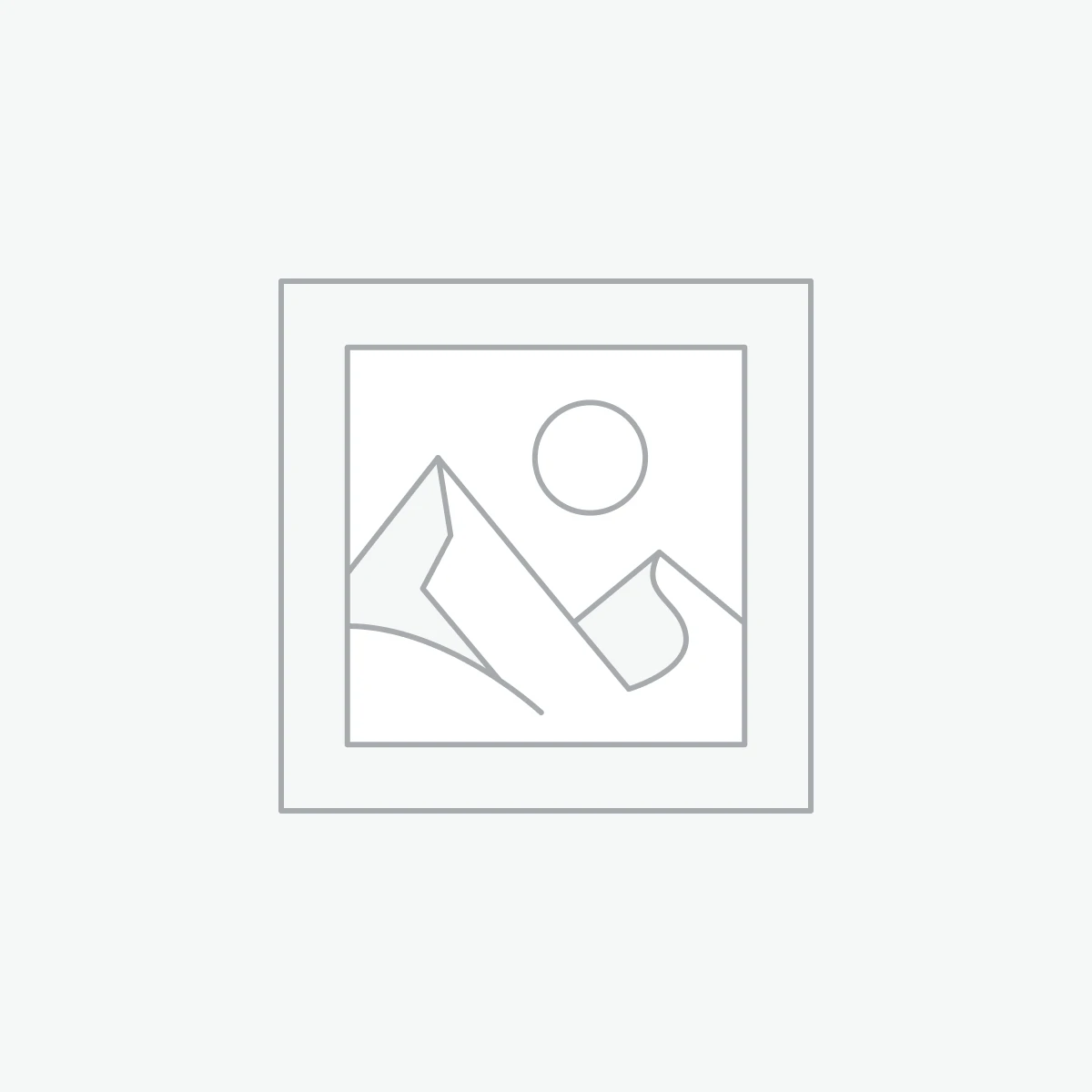 Larsor Chicken Seasoning – 100g